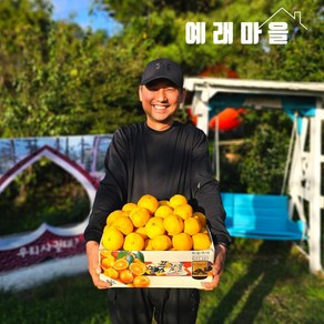 예래마을 제주 서귀포 노지 감귤 10kg 특대과, 1개