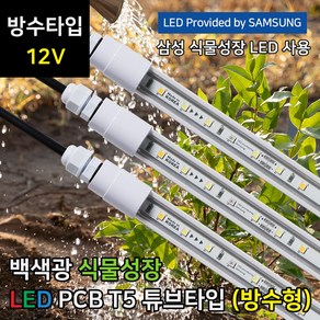 파인라이트 12V 슈퍼팜 플러스 전문가용 삼성 LED 식물등 T5 방수형 (튜브타입) 백색광 식물 조명, (방수형 T5) 슈퍼팜 플러스 12V, 1개