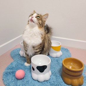냥큼마캣 고양이 강아지 냥발 식기 사료그릇 밥그릇, 흰냥발, 1개