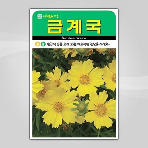 슬로시 꽃 씨앗 고급 꽃씨 야생화 허브씨 종자 모음, 1개