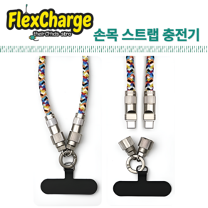 FlexChage 휴대폰 손목 스트랩 C타입 초고속 충전케이블, 레인보우, 1개, 280mm