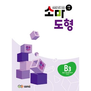 소마연구소 소마 도형 B3, 1개