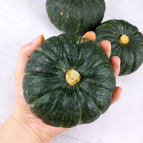 [미식한가] 포근한 공중재배 해남 미니 밤호박 국산 단호박, 1개, 4kg