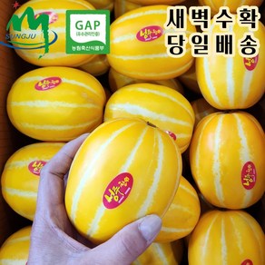 성주 참외 산지직송/당일수확 비파괴 당도선별 (가정용 랜덤과 소과 중과 대과) (정품 중과) 2kg 3kg 5kg 10kg, 1개, 6. 소과 3kg