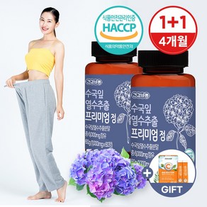 건강바름 수국잎 열수추출 프리미엄 정 1000mg x 60정 * 2개 = 120정