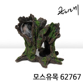 클리오레 모스유목 H 62767, 1개