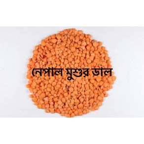 Masoor Dal Nepal Red Whole Lentils 800g S. N. Food 레드 홀 렌틸