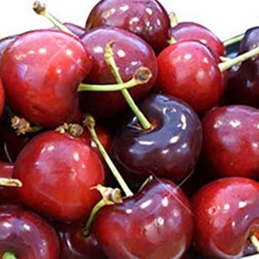 [두집살림]프리미엄 고당도 생 체리 특대과 항공직송 500g 1kg 2kg, 1박스, 대10R 1kg