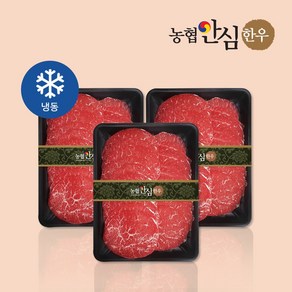 [농협안심한우] 1+등급 한우 육전 600g / 900g, 1개, 900g (300gX3팩)