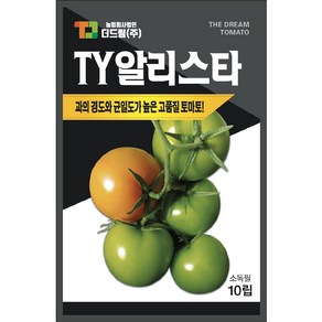 더드림 TY알리스타 토마토 씨앗 종자 / 과의 경도와 균일도가 높은 더드림 토마토씨, 1개