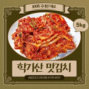 안동 학가산 맛김치 썰은김치 국산100% 당일발송 l 아이스박스 포함