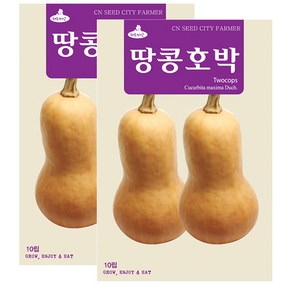 세인화분 땅콩호박씨앗 10립 호박 채소 씨 호박씨앗 땅콩호박 씨앗, 2개