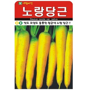 노랑 당근씨앗 500립, 1개