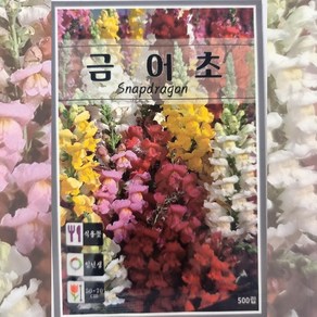 꽃씨 금어초 500립 금어초꽃 식용꽃 일년생, 1개