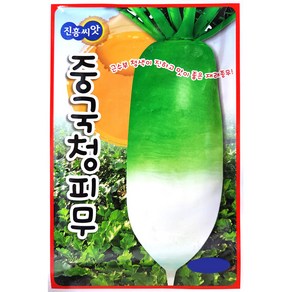 중국청피무 30g 김장무씨앗 김장씨앗 진흥종묘 24년