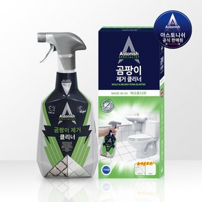 아스토니쉬 곰팡이 클리너 750ml, 1개