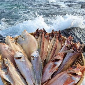 속초 (산지직송) 반건조생선 골라담기 임연수 볼락 참돔 민어 열기 가자미 우럭 고등어 양미리 박대 서대 구이 말린, 옵션04. 반건조 임연수, 1개