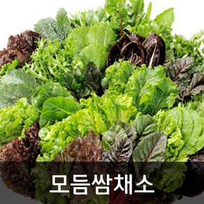 약수농장 모듬쌈채소 2kg