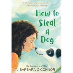 How to Steal a Dog:- '개를 훔치는 완벽한 방법' 원작 소설