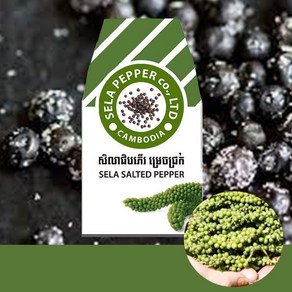 셀라 그린페퍼피클 절임생후추 sela salted pepper 50g