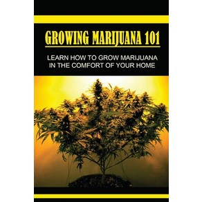 (영문도서) Gowing Maijuana 101: Lеаn Hоw Tо Gow Maijuana In Thе Comfo... Papeback, Independently Published, English, 9798467126159