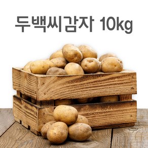 영진팜 강원도 대관령 왕산면 정품 씨감자 4kg 10kg 20kg 보급종 수미 두백 필대성, 두백감자