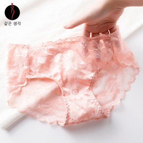 같은 생각의 시스루 자수 노라인 레이스 여성팬티 5P