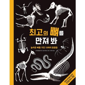 최고의 뼈를 만져 봐:놀라운 뼈를 가진 10마리 동물들, 키다리