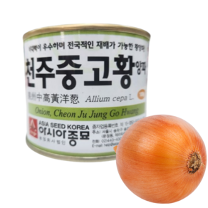 모두다팜 천주중고황 양파씨앗 양파씨 양파종자 100g, 1개