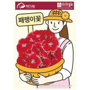 아시아종묘 씨앗 꽃 패랭이꽃 1000립