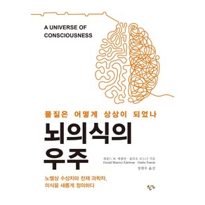 뇌의식의 우주:물질은 어떻게 상상이 되었나