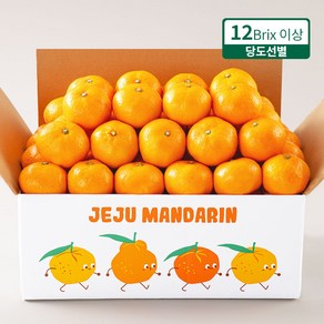 프루미츠 중문농협 엄선한 고당도 타이벡 감귤 2.5kg (12brix)