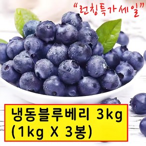 wtm 냉동블루베리 1kg*3봉 냉동과일