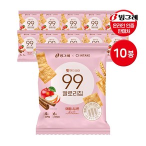 기타 빙그레 99칼로리칩 애플시나몬 30g 10봉