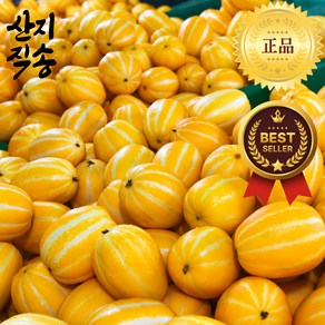 농장직송 초특가 못난이 성주 참외, 1박스, 혼합과 4.5kg