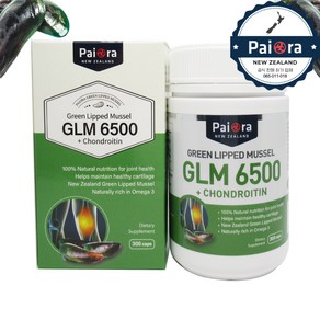 Pai Oa GLM + Chondoitin 파이오라 뉴질랜드 초록홍합 초록입홍합 6500 + 콘드로이친 300캡슐, 1개