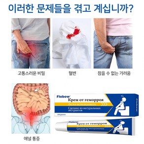 [당일발송]FLOBOW 치질 항문통증/항문가려움/항문출혈 허브 포뮬라 안전 무자극W020