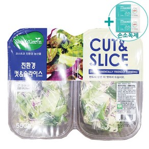 코스트코 친환경 컷앤 슬라이스 550G 아이스박스포장 + 더메이런손소독제, 1개