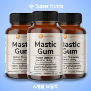 미국빠른직구 수퍼누트라 매스틱검 1000mg 120정 60일분