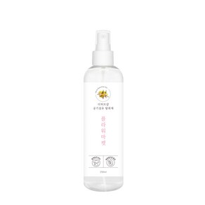 더허브샵 차량 & 섬유 탈취제 본품, 250ml, 1개, 플라워마켓