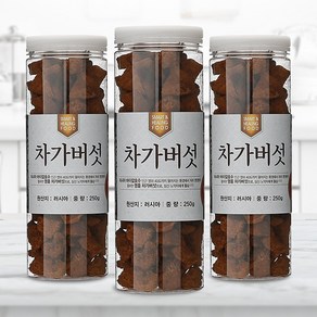 채울농산 자작나무 영양이 고스란히 차가버섯 (러시아산 250g), 1개, 250g