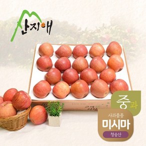 산지애 알뜰 못난이사과(중과) 4.5kg 1box / 당도선별 청송산 미시마