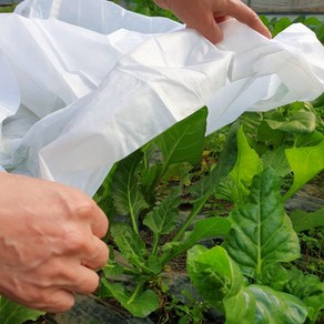 서리방지용부직포 비닐하우스 보온덮개 텃밭 농업용 농사용 양파 배추 막덮기 냉해방지 부직포, 1개