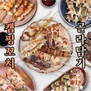 캠핑음식 캠핑꼬치 구이 밀키트 염통꼬치 닭꼬치 모듬꼬치 닭똥집 닭발 닭껍질 막창 캠핑용 꼬치 18종 소스 총집합 모듬꼬치 10개, 5.모듬꼬치 10개, 1개