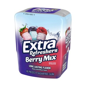 Extra 무설탕 엑스트라 베리 믹스껌 40개입 / Extra Berry Mix Chewing Gum 40 ct