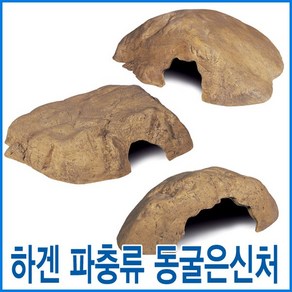 하겐 파충류 은신처 중, 1개