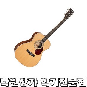 [낙원상가악기전문점] 콜트 Luce 100, 1개