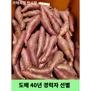 못난이 고구마 밤고구마 5kg (도매 40년 경력자가 선별)