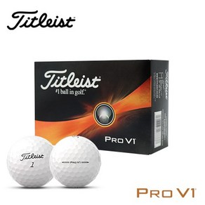 올타임25시 무료인쇄가능 3피스 정품 타이틀리스트 PRO V1 골프공선물, 1개, 화이트, 6개입