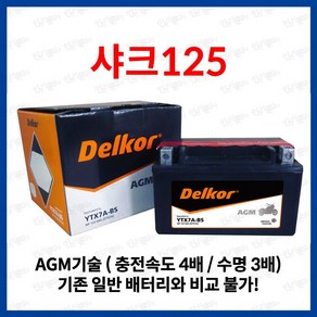 샤크 125 AGM 배터리 12V 6Ah, 1개